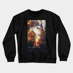 Autumn Path Crewneck Sweatshirt